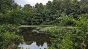Image of the lake at the on the grounds of Seven Rivers