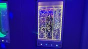 Sensory room at Hill House