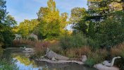 A pond surrounded by trees and dinosaur exhibits