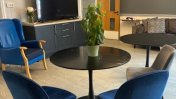 Lounge with oask laminate flooring, a circular table with a plant in the middle and blue velvet chairs 