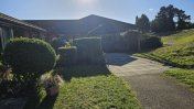 Exterior garden with patio lawn and hedges with the sun shining on it