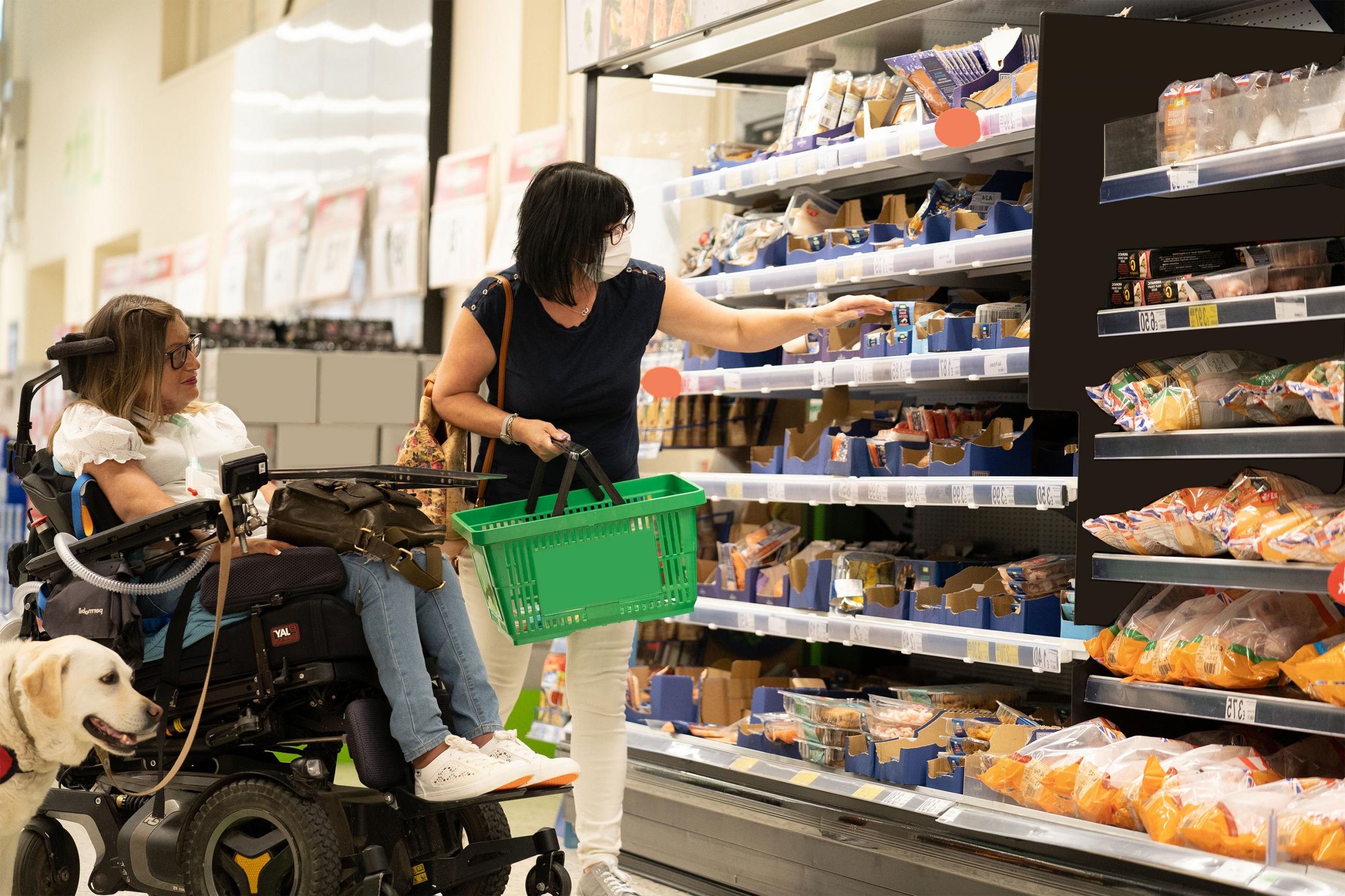 A female wheelchair user with her guide dog and carer in a supermarket
